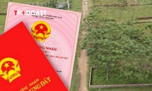 收回前转让农用地，新土地所有者能否获得补偿？