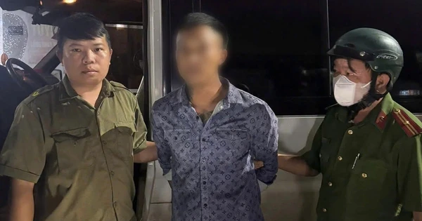广南省一名危险通缉犯在胡志明市被捕 · 报道配图