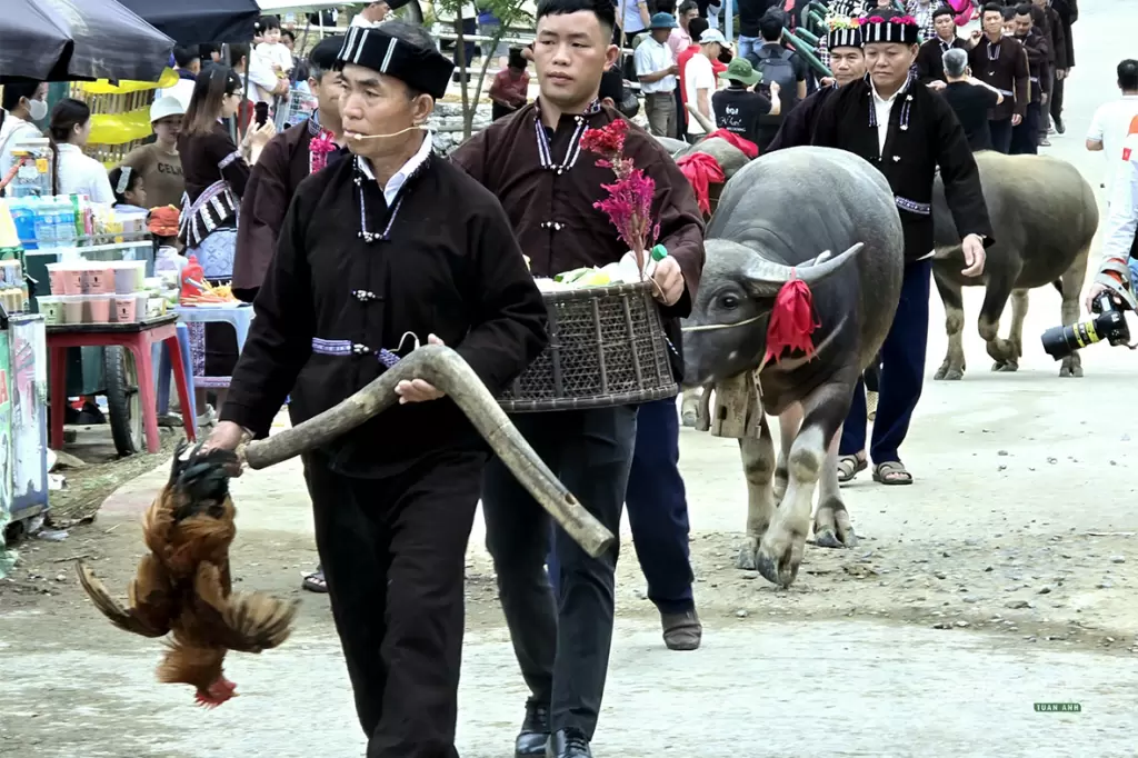 莱州卢族在2026年文化节上重现祭牛魂仪式 · 报道配图