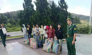 同奈警方破獲為外國人非法入境居留提供住所案 · 報道配圖