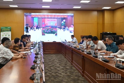 同塔省芒果种植区代码申请未获回复，农户被迫低价内销 · 报道配图