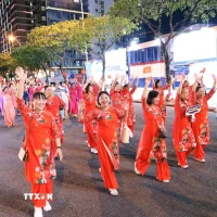 身穿越南各地奥黛的游行队伍参加游行