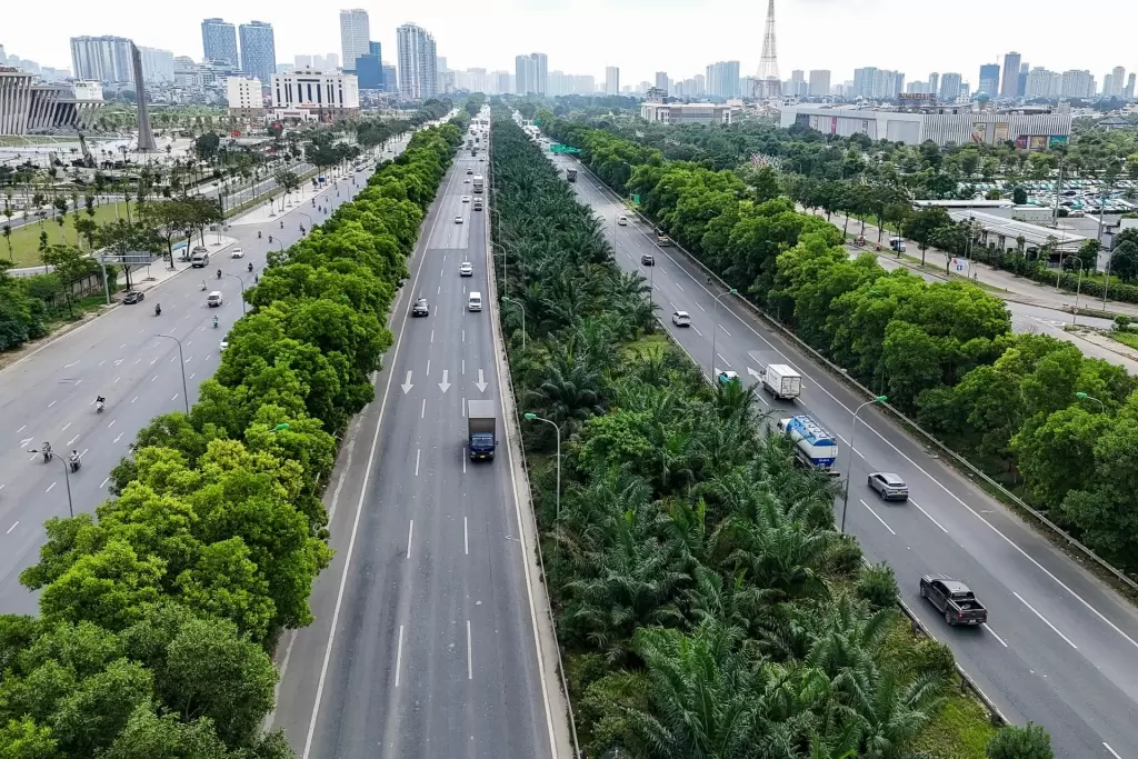 河内公布18种禁种树木清单,规范公园与公共绿化管理 · 报道配图