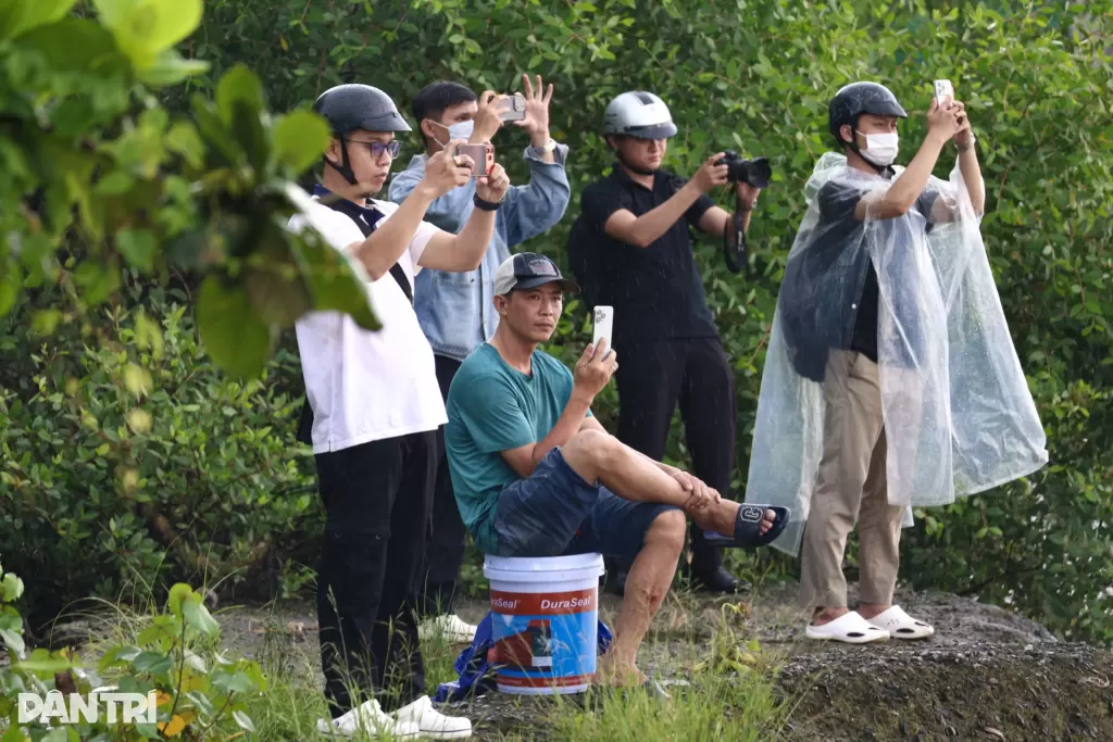 民众等候数小时观看西贡河上的巨型“水椰叶”