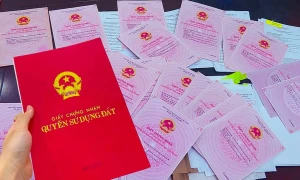 建议增加收回已发放红皮书并予以注销的情形