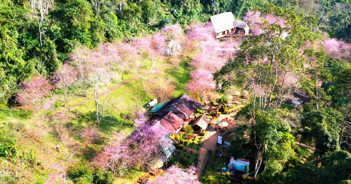 芒登鄉警告違規分地售地與侵佔公地