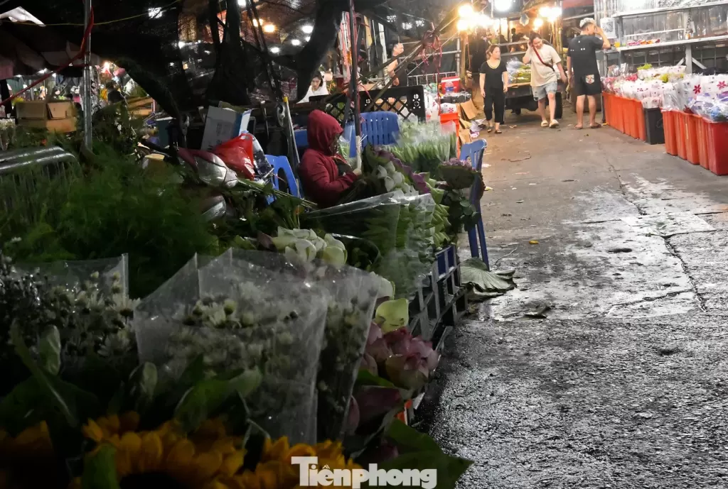 西貢河步行橋主跨從頭頓經水路拖航124公里回胡志明市 · 報道配圖