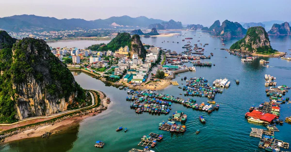 越南云屯特区Cái Rồng市场项目追加人力,目标2027年1月基本完工 · 报道配图