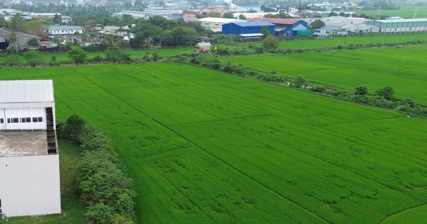 順化一承包商因進度違規被終止多個重點項目合同 · 報道配圖