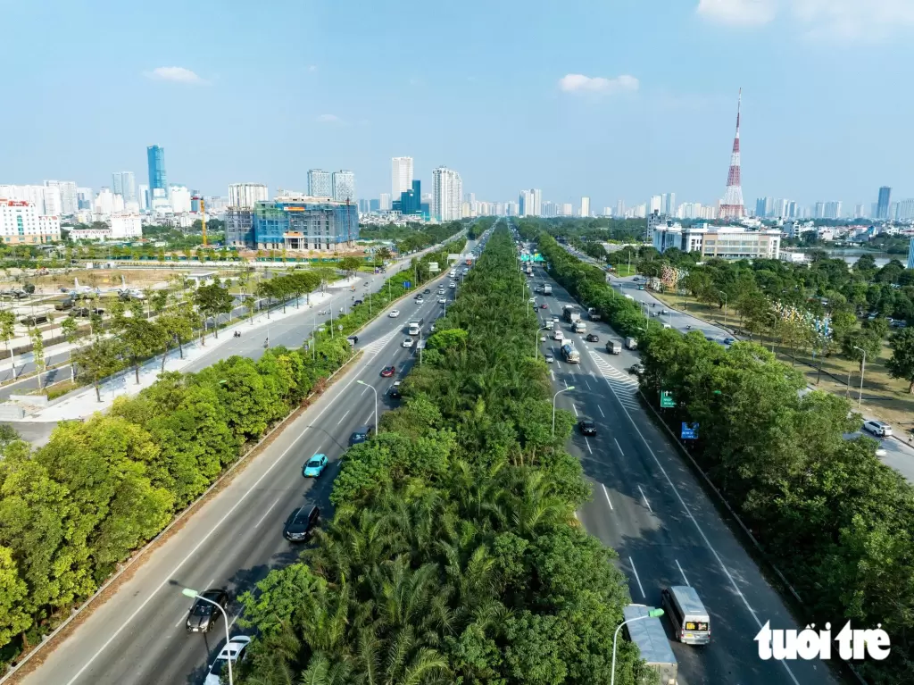 河内发布新规禁止在公共场所种植18种树木 · 报道配图