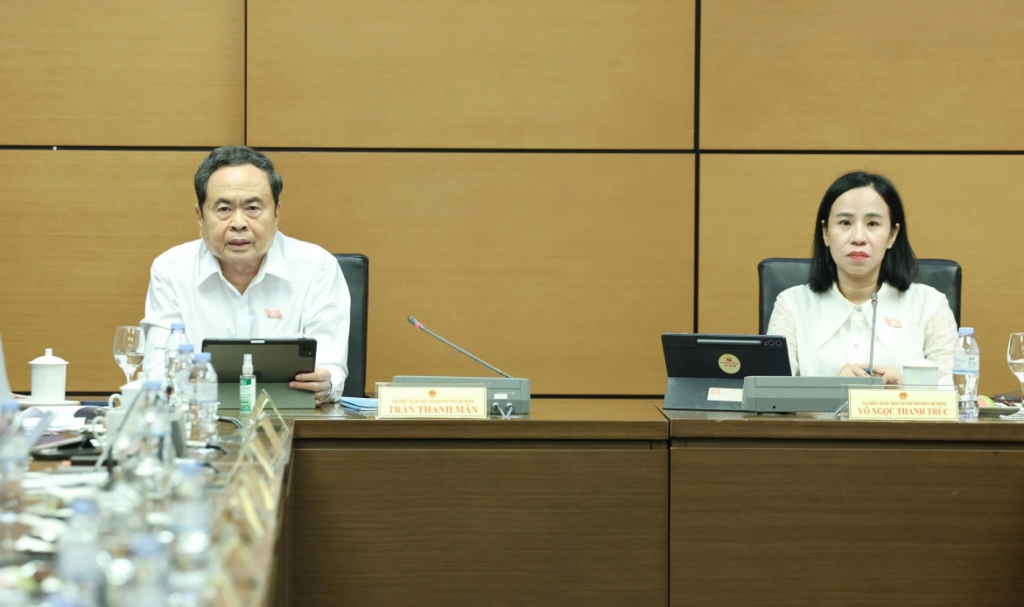 國會主席陳青敏就電力法修訂草案發表意見