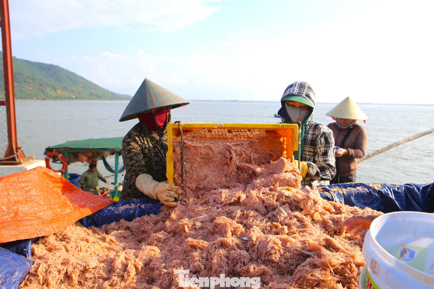 VinMetal与意大利Danieli签约采购钢轨及型钢轧线核心设备 · 报道配图