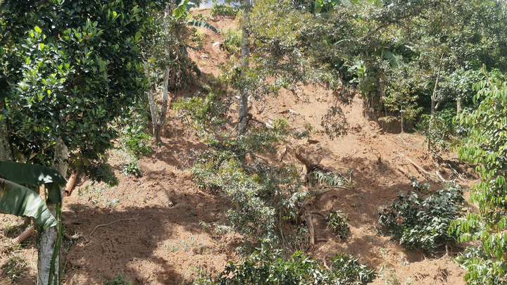 林同省暴雨引發山洪 國55號公路數十米路面被土石掩埋 · 報道配圖