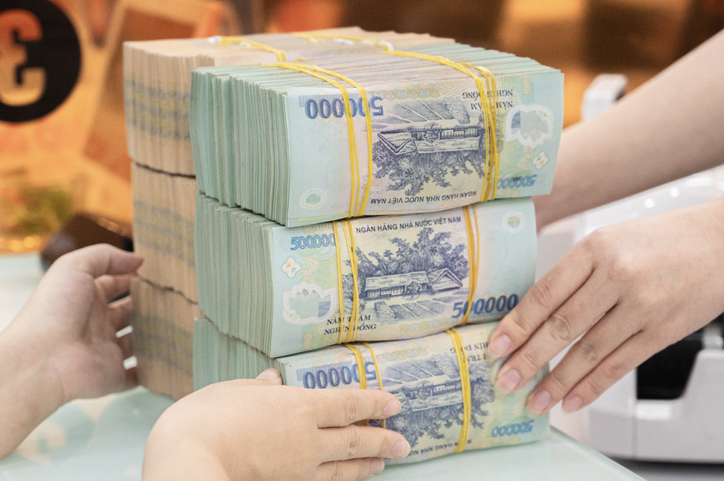 越南国家银行要求银行下调存款利率至少0.5个百分点 · 报道配图
