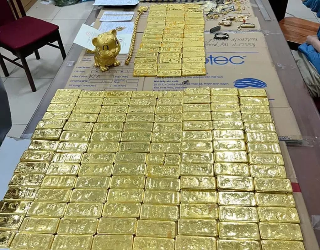 河内开庭审理Mr Pips外汇诈骗洗钱案 188名被告出庭 · 报道配图