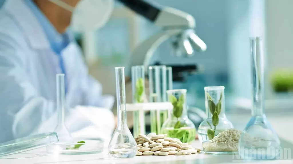 河内研讨会讨论生物技术商业化面临的知识产权定价与融资瓶颈 · 报道配图