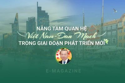在新发展阶段提升越南-丹麦关系