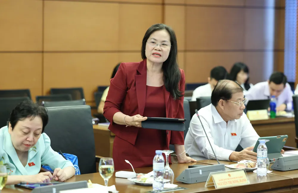 胡志明市司法厅厅长阮氏红幸代表就完善《收养法(修订)》提出意见。