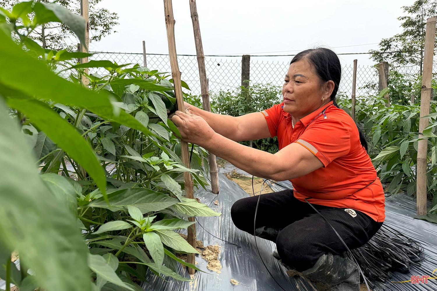 農民在田間勞作