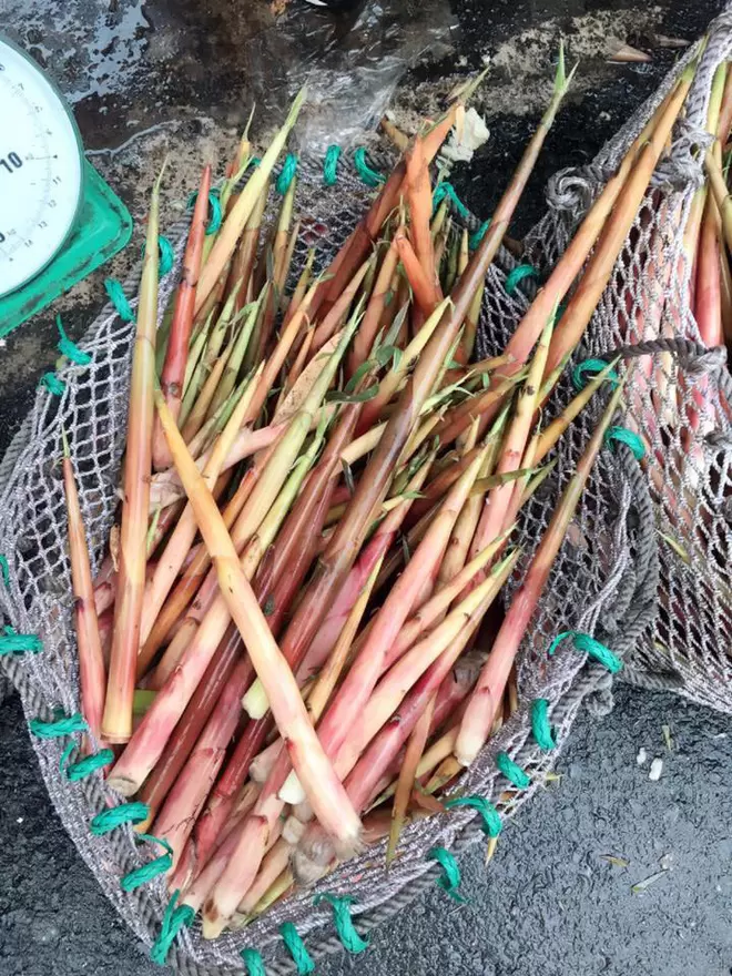 越南有一座山,一位国王放弃王位上山修行,如今已成为联合国教科文组织列入的世界遗产。