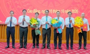 高平省任命兩名廳長