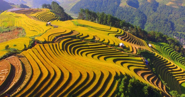 老街省Trống Páo Sang峰多次出現冰霜，海拔逾1500米 · 報道配圖