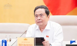 防止收养变相成为买卖儿童