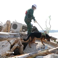 林同省Đắk Lao边防屯与柬埔寨蒙多基里省第115营结义共建边境 · 报道配图