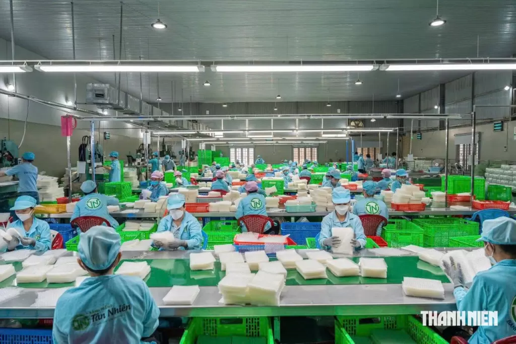 越南企業從代工出口轉向以自主品牌進入國際市場 · 報道配圖