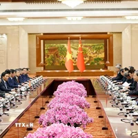 越南国会主席陈青敏访华 推动越中立法合作机制化 · 报道配图