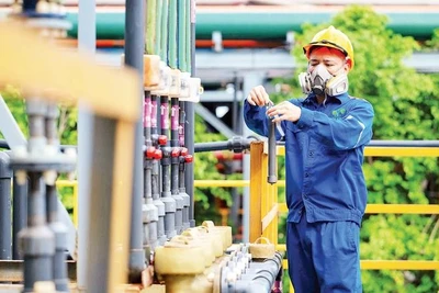 越南討論培育大型企業須與維護公平競爭並行 · 報道配圖