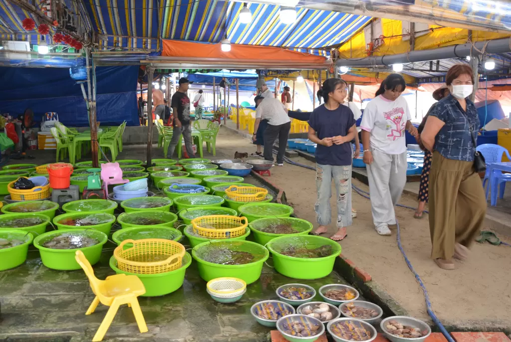 林同省美奈坊擬將漁村魚碼頭改造為旅遊魚市 · 報道配圖