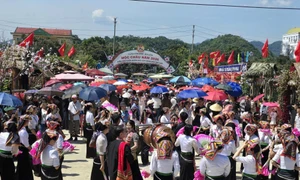 山罗省芝梅乡靠咖啡种植将贫困户降至201户 · 报道配图