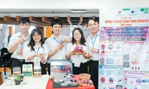 越南教育部官员称扩大英语授课需同步准备师资与教材 · 报道配图