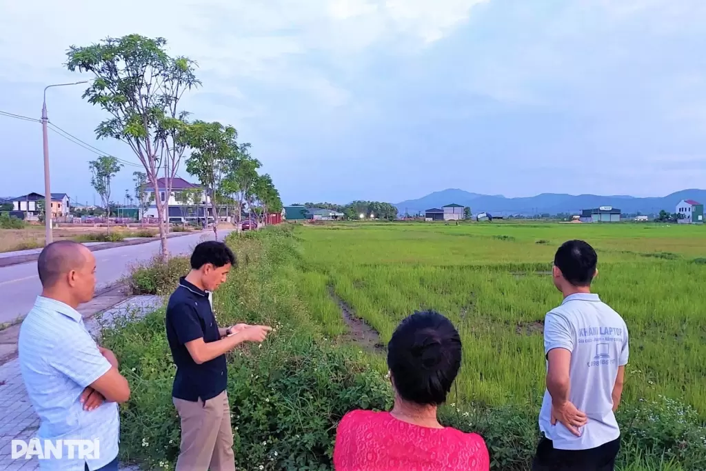 民众种植水稻的地块
