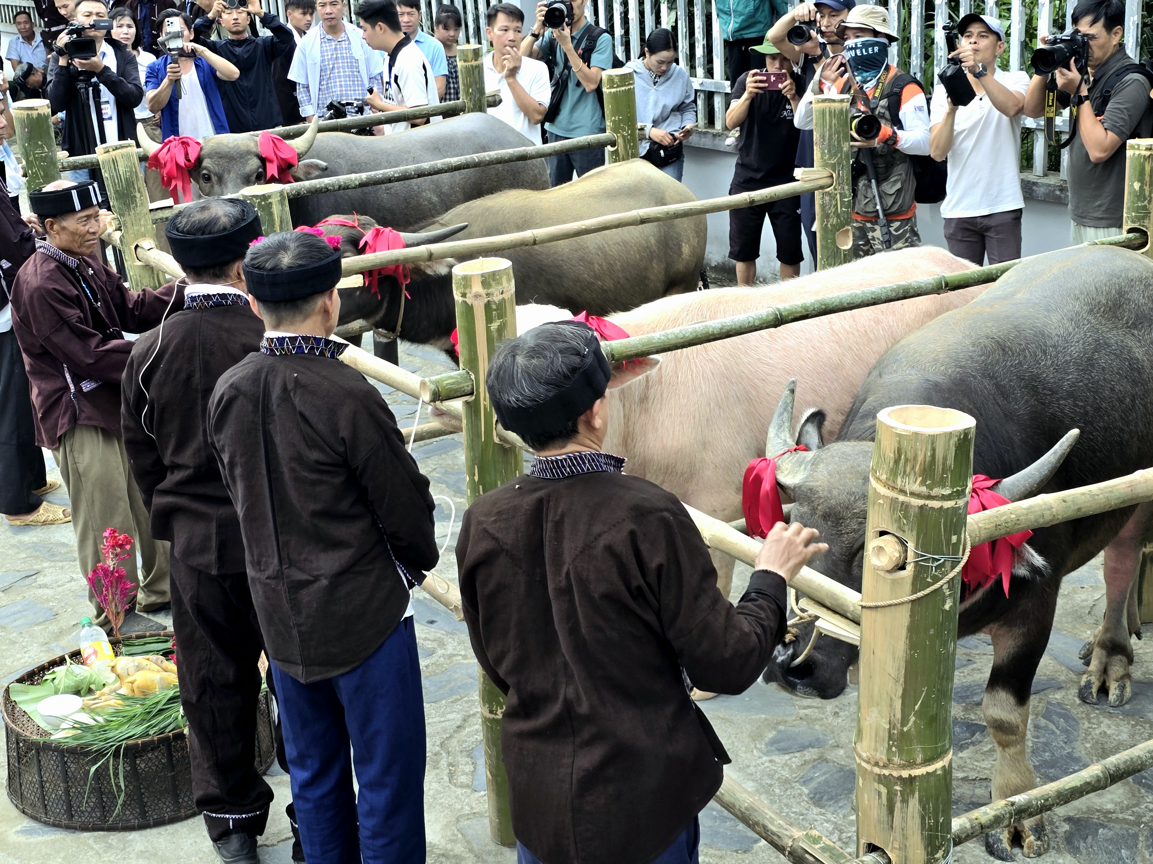 卢族祭牛魂仪式中的人文之美——图5
