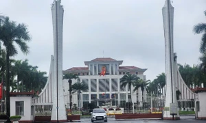 岘港核江乡就疑似烈士墓信息召开核查研讨会 · 报道配图