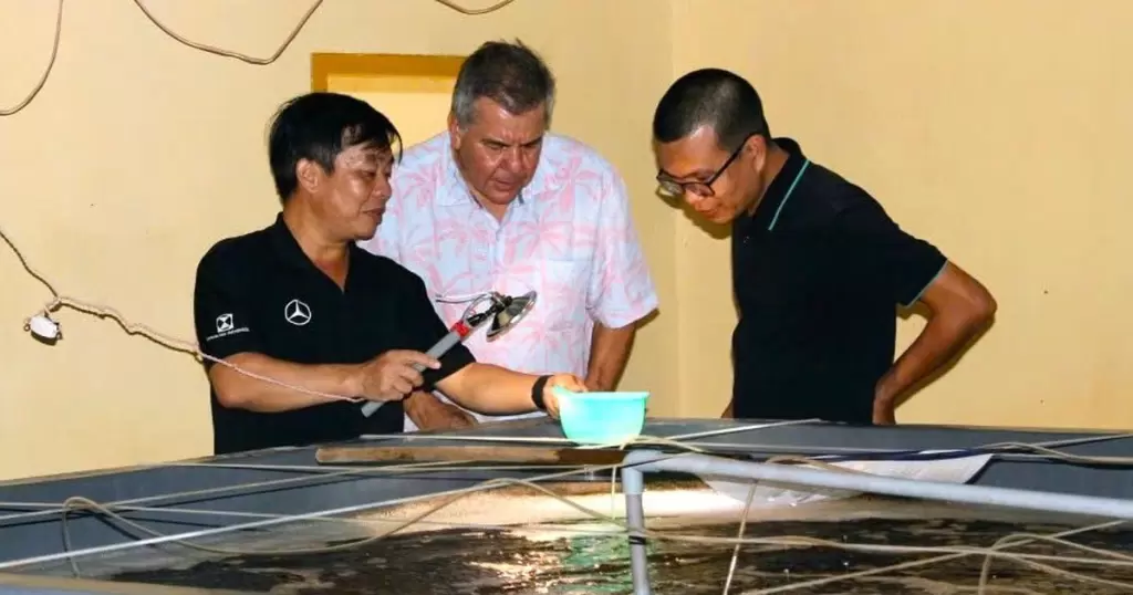 越南虾类种苗自主难题研讨会在庆和省举行