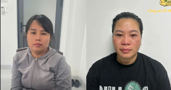胡志明市警方破獲跨省盜狗團伙 已起訴11人 · 報道配圖