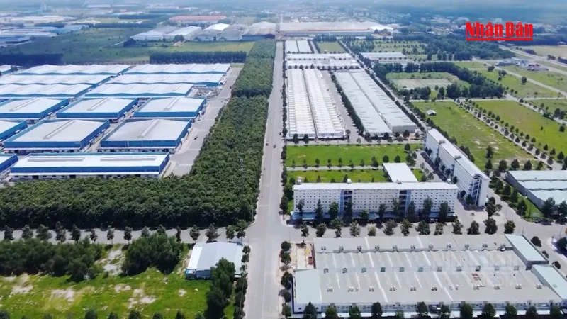 越南要求企业2026年10月底前申报受益所有人，逾期最高罚1亿越南盾 · 报道配图