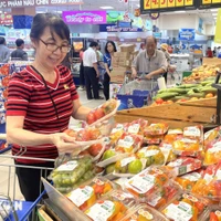 越南农林产品出口规模领先，业界讨论转向价值与品牌竞争 · 报道配图