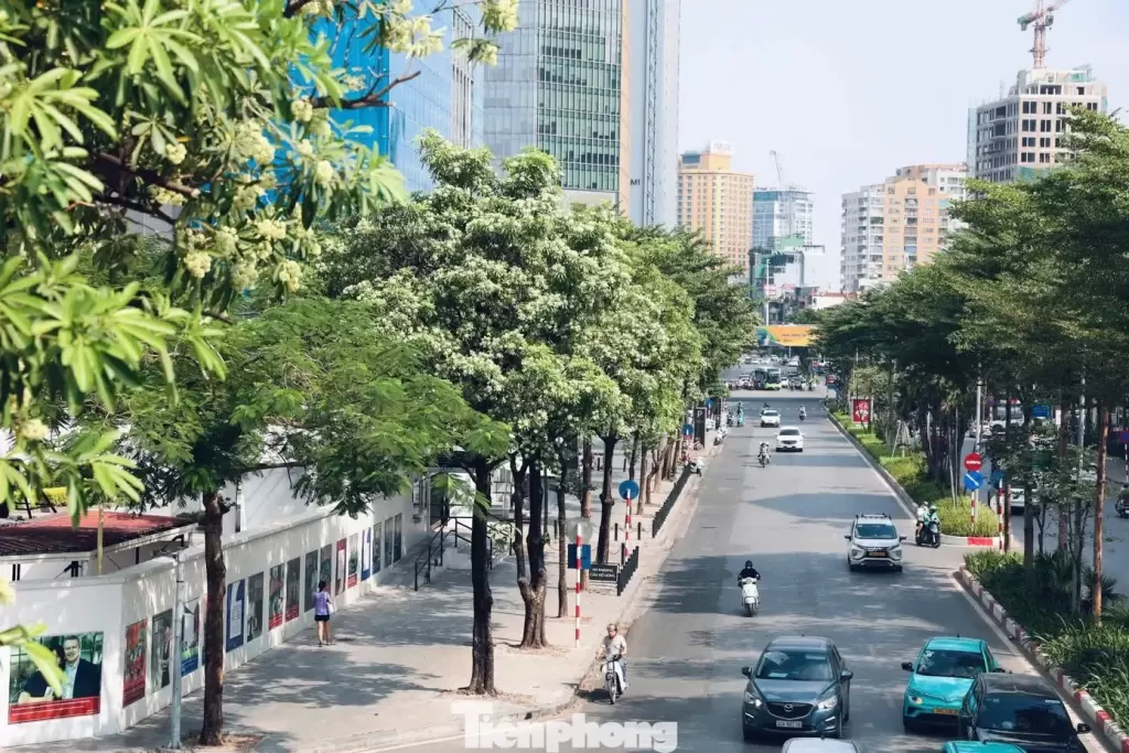 河內公佈綠化總體方案,擬2030年前內城人均綠地超10平方米 · 報道配圖