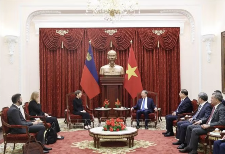列支敦士登首相首次访越，两国签署避免双重征税协定 · 报道配图
