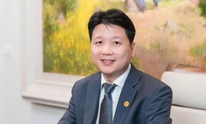 老街林上竹笋体验旅游项目获越南农村青年创业赛一等奖 · 报道配图