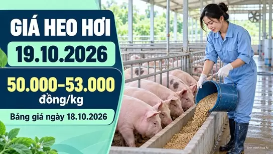 越南生猪价格10月18日持稳于每公斤5万至5.3万越盾
