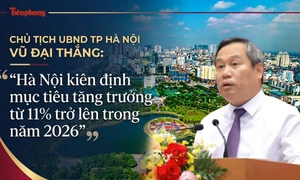 越南副總理稱行政改革削減逾半合規成本與辦理時間 · 報道配圖
