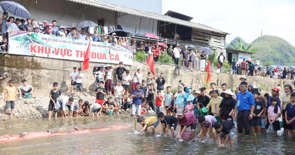 越南茂杜社岱族魚節舉行,2016年獲國家級非遺認定