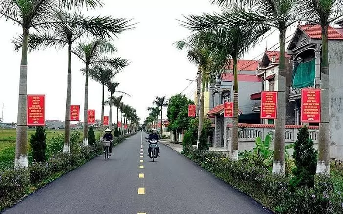 海防市委常委會決定暫不調整114個鄉坊及特區行政區劃 · 報道配圖