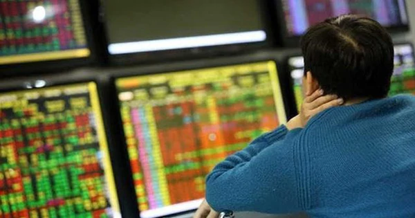 VN-Index連續第四周下跌後回升,專家稱尚未確認觸底 · 報道配圖