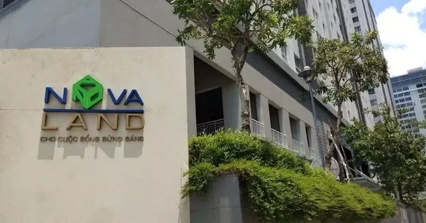 Novaland将增发认购权转让期限延至11月23日 · 报道配图